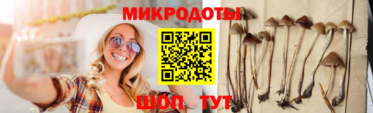 как найти закладки  Галлюциногенные грибы прущие грибы  Вход с VPN  Калининград 